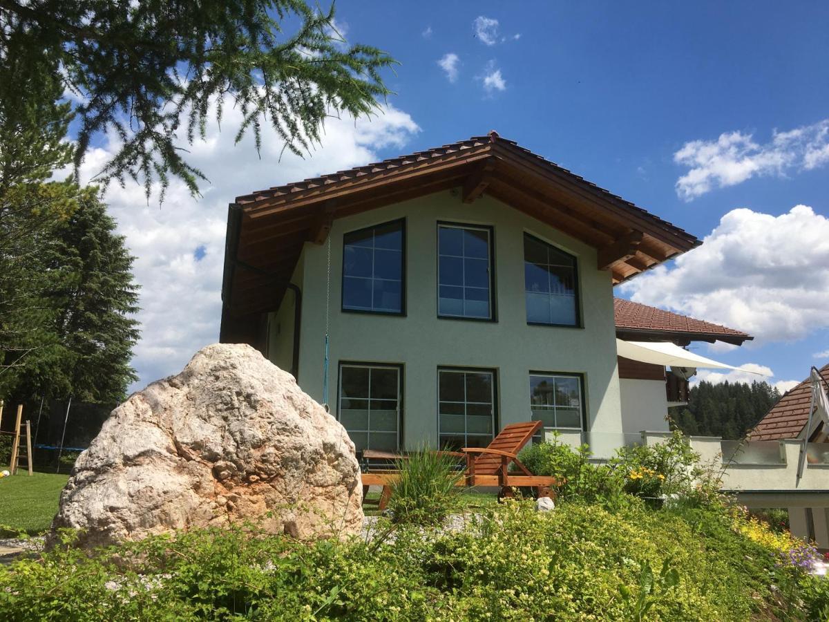 Appartementhaus Finis رامساو أم داتشستين المظهر الخارجي الصورة